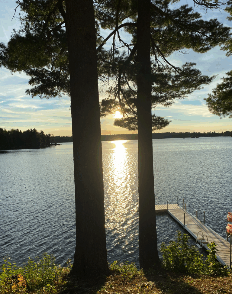 Picture of a large lake through two trees with a dock to the right.
